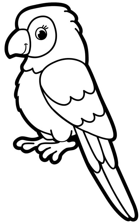 papagaio desenho